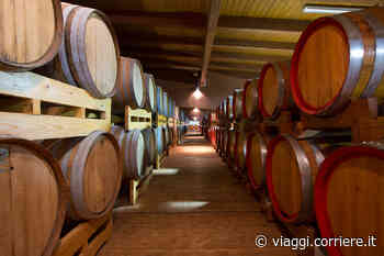 Acetaie Aperte: al via a Modena l'evento che celebra il balsamico - DOVE Viaggi