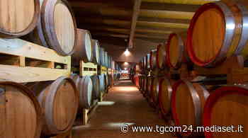 Modena: “Acetaie in festa” per celebrare il Balsamico - TGCOM