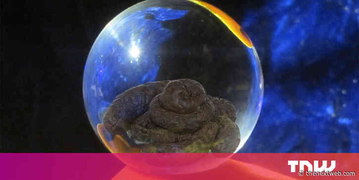 TikTok’s algorithm is helping ‘psychics’ exploit Gabby Petito’s death