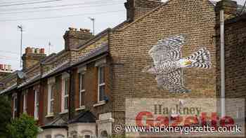 Competition launched for biodiversity mural in Hackney - Hackney Gazette
