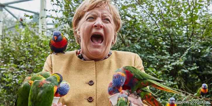 Angela Merkel visited a bird park, where a Australian rainbow lorikeet bit her: photos