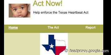 GoDaddy took down another Texas abortion whistleblower tip site that charged people $20 to submit a claim