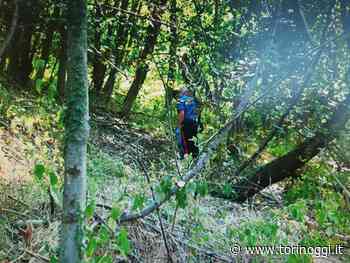 Siccità, Disabato (M5S): "La Regione segua le indicazioni di Ispra e sospenda l'attività venatoria" - TorinOggi.it