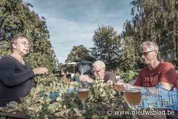 Vrijwilligers halen eerste hopoogst binnen van Abdij Grimbergen: “Hier gaan we een speciaal biertje mee brouwen” - Het Nieuwsblad