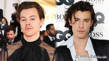 Shawn Mendes: Er ist sauer auf „One Direction“-Star Harry Styles - it's in TV