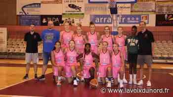 Basket : dans l'antichambre de l'équipe première d'Arras Pays d'Artois - La Voix du Nord