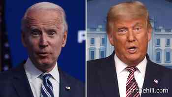 Biden does not plan to shield Trump docs in Jan. 6 probe