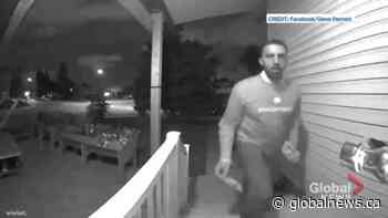 Video shows Calgary Skyview Liberal George Chahal removing rival campaign flyer