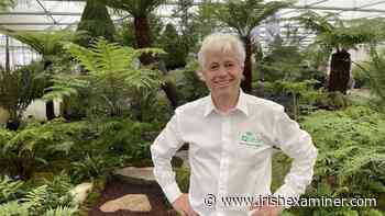 Kerry gardener scores gold with ferntastic display at Chelsea Flower Show - Irish Examiner