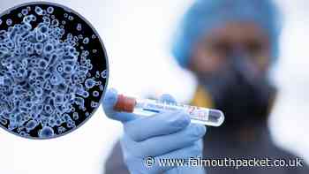 Coronavirus in Cornwall: Friday, September 24 2021 - rise in deaths - Falmouth Packet