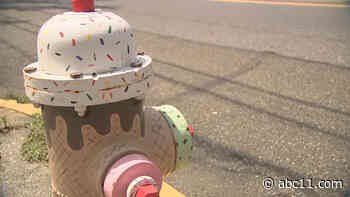 'Paint a Hydrant' project brightens streets