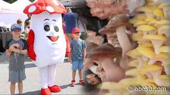 Mushroom festival celebrates famous Pennsylvania farm town