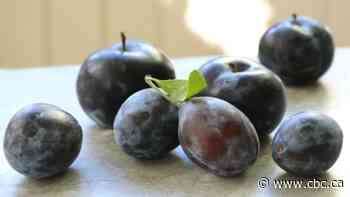 Recipes with Julie Van Rosendaal: Got plums?