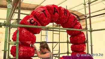 Loenhout klaar voor bloemencorso: “Hopelijk vallen ze er niet af” - Gazet van Antwerpen