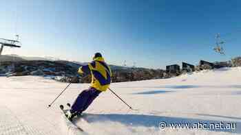 Alpine resorts have snow but the ski slopes are empty during school holidays