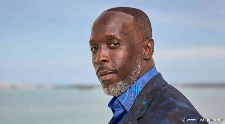 Michael K. Williams' Official Cause of Death Revealed by Medical Examiner