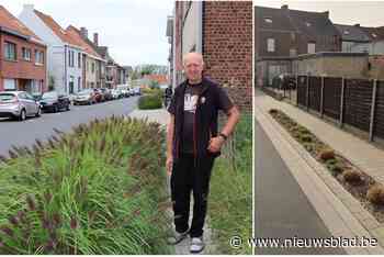 Een beetje groen is fijn maar de planten in deze straat nemen wel erg veel ruimte in: “Voetgangers kunnen nog amper door”