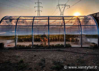 L erba buona - Vanity Fair Italia