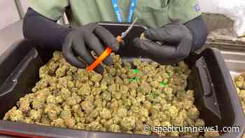 medical marijuana businesses can expand - Spectrum News 1