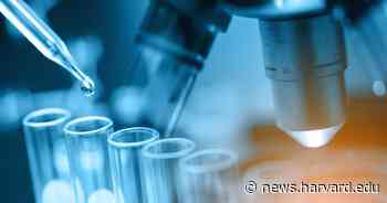 Seven Harvard affiliates named Howard Hughes Medical Institute investigators - Harvard Gazette