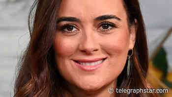 Before She Was On NCIS, Cote De Pablo Had A Different Dream Job In Mind - Telegraph Star