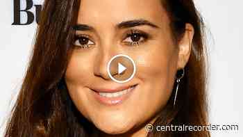 Cote De Pablo Turned Down This Massive Opportunity To Star In NCIS - Central Recorder