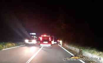 Incidente tra Mesenzana e Germignaga, investito un capriolo - Luino Notizie