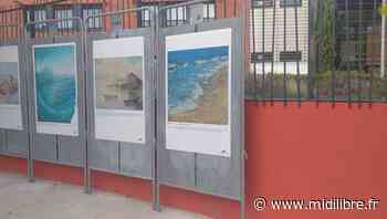 A Frontignan, des tableaux de la ville dans la ville - Midi Libre