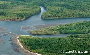 Buenos Aires declaró emergencia hídrica en el Delta del Río Paraná - 11NOTICIAS