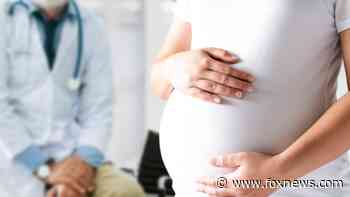 Idaho woman loses baby after coronavirus battle: report - Fox News