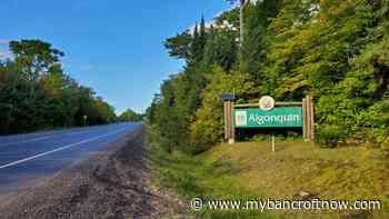 Algonquin's advance pass pilot program could be implemented province-wide - mybancroftnow.com