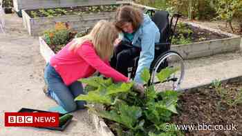Social prescribing: How a community garden helps combat isolation