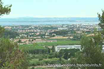 PrioriTerre à Gignac-la-Nerthe: Une agriculture urbaine aux portes de Marseille - France 3 Provence-Alpes-Côte d'Azur - Franceinfo