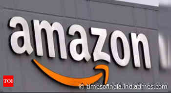 For festive season, Amazon adds over 1lakh jobs - Times of India