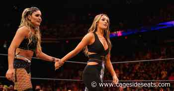 Rumor Roundup: New AEW titles, WWE release request, TLC, NXT Japan - Cageside Seats