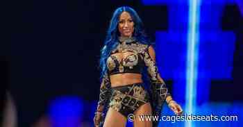 Rumor Roundup: NXT rebrand, Danielson deal, Sasha Banks, more! - Cageside Seats