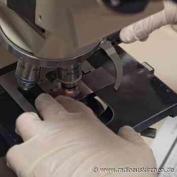 Mikroorganismen vergeben: Stadt Euskirchen gab Effektive Mikroorganismen an betroffene der Flutkatastrophe aus - radioeuskirchen.de