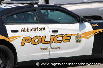 Abbotsford Police investigating after crash kills 1, sends 2 to hospital - Agassiz-Harrison Observer