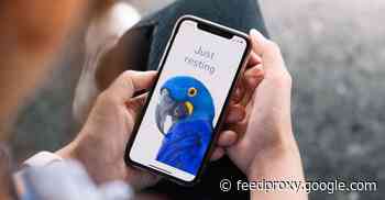 STILL ALIVE! iOS 12 gets 3 zero-day security patches – update now