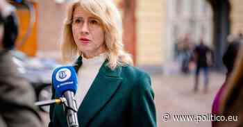 Dutch minister fired over coronavirus passport criticism - POLITICO.eu