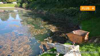 Das tut sich im Landkreis Neu-Ulm für Erholungssuchende - Augsburger Allgemeine