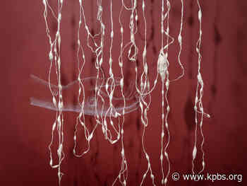 San Diego Weekend Arts Events: Art Produce, Bodhi Tree, 'The Garden,' Art + Science And 'Unwind' - KPBS