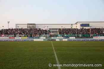 Primavera 2, Pordenone-Parma: cronaca e tabellino del match - Mondoprimavera