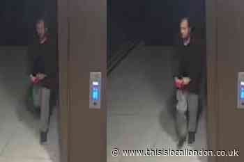 Sabina Nessa: Police urgently seek man carrying red object