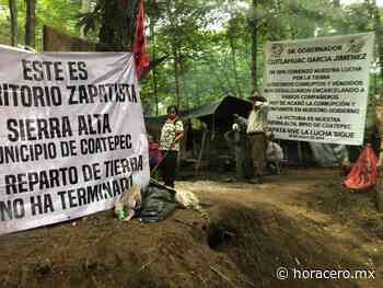 Avanza proceso legal contra invasores de bosque en Coatepec - Hora Cero | Noticias de Veracruz