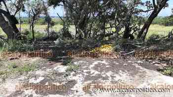 Habitantes de Coatepec denuncian otro tiradero de desechos a cielo abierto - alcalorpolitico