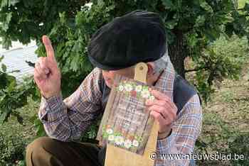 Nazomeravonden in Molenbeersel