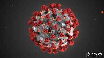 Public Health issues testing advisories in Corner Brook, Grand Falls-Windsor, Springdale and Baie Verte - ntv.ca - NTV News