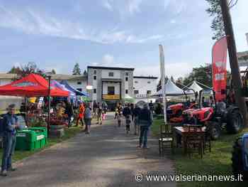 Clusone: al via la Mostra Zootecnica, domani la sfilata equestre - Foto - Valseriana News