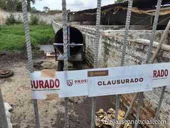 Proepa clausura otra granja porcícola en Acatic « REDTNJalisco - Tala Jalisco Noticias